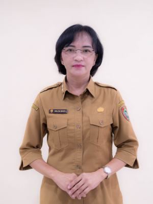 Kepala UPT Taman Budaya